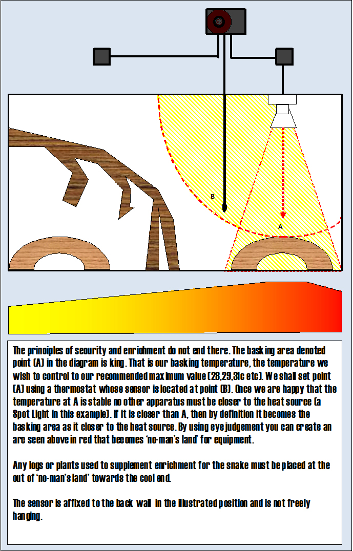 correct probe placement