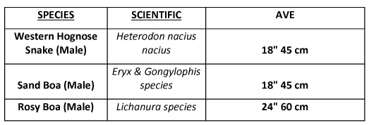 species 1